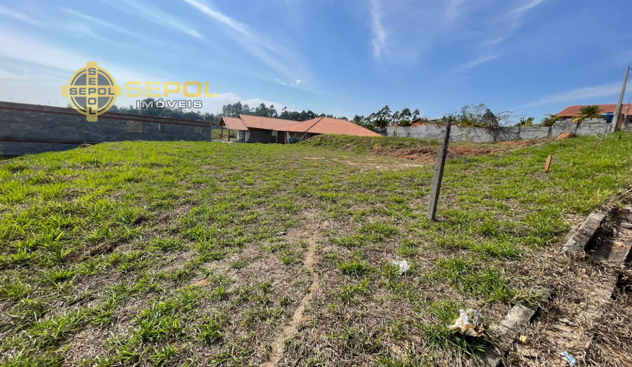 WhatsApp Image 2024-08-01 at 14.45.43 (1)-Photoroom