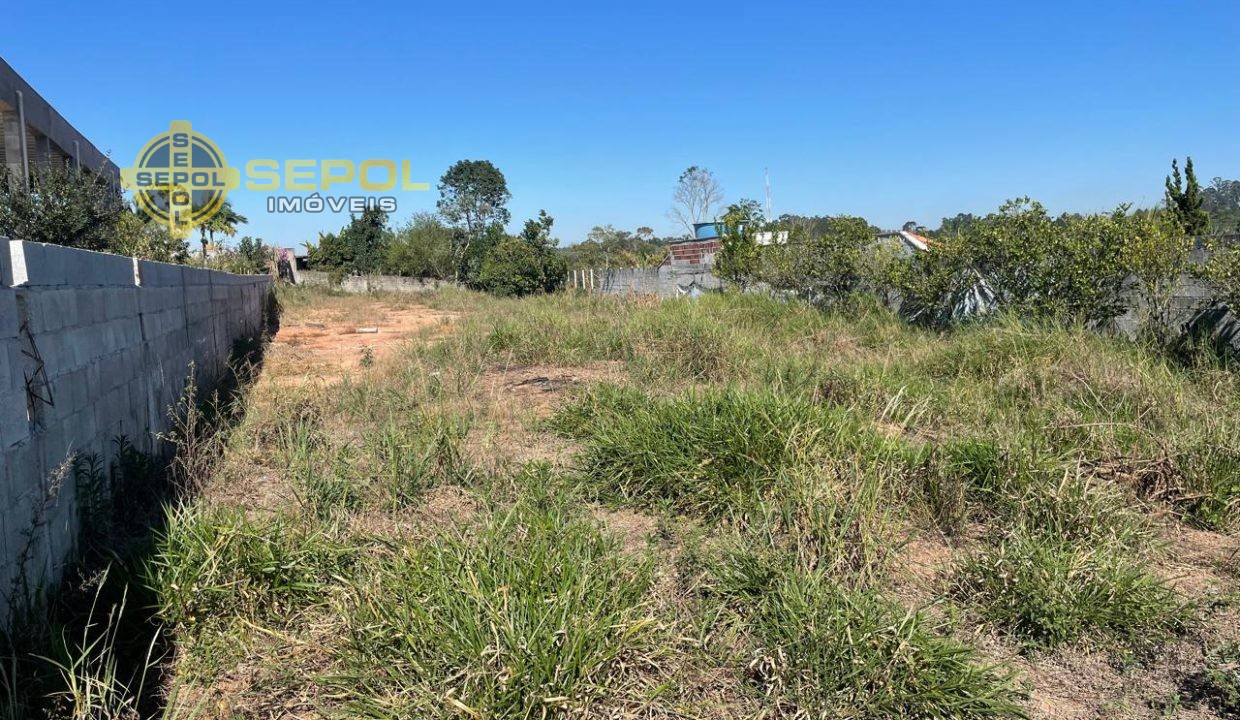 WhatsApp Image 2024-08-05 at 10.44.31