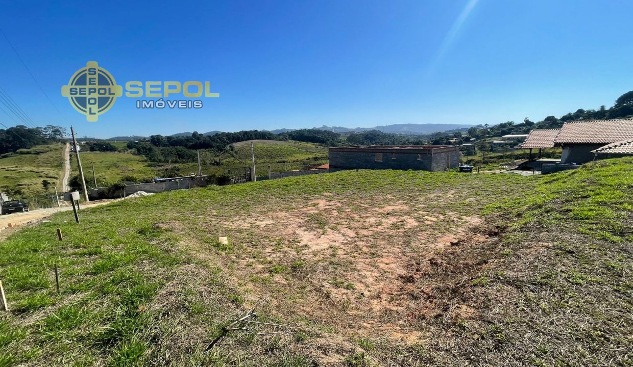 WhatsApp Image 2024-08-05 at 10.47.19