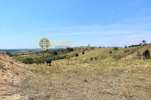 WhatsApp Image 2025-10-03 at 16.05.05 (5)